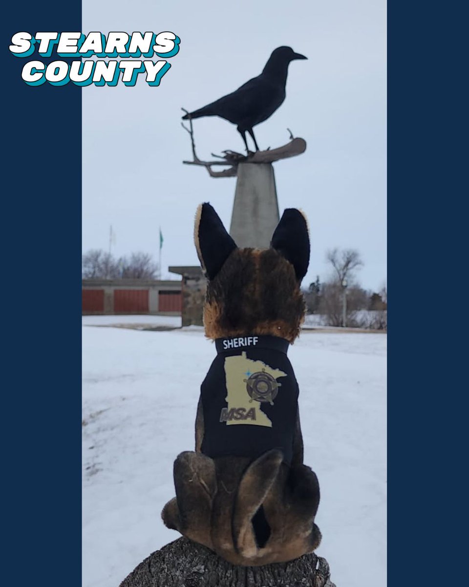 MNSheriffs's tweet photo. Scout pulled up to Stearns County and said “go big or go home” 😏

✔️ Touches 9 counties
✔️ Bigger than Rhode Island
✔️ Giant crow energy 🐦

Yeah… this one’s hard to miss.

#ScoutOutMinnesota #StearnsCounty https://t.co/xkv3wn66De
