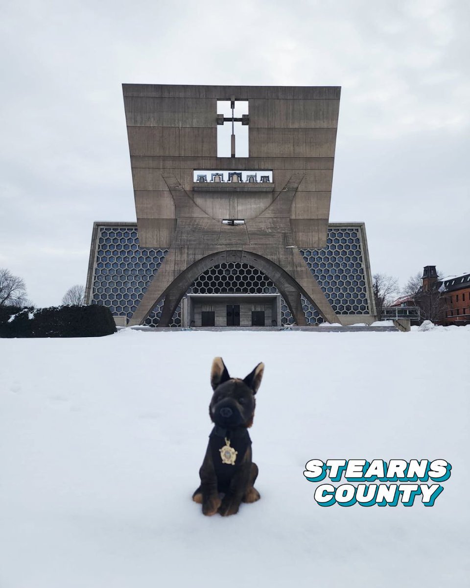 MNSheriffs's tweet photo. Scout pulled up to Stearns County and said “go big or go home” 😏

✔️ Touches 9 counties
✔️ Bigger than Rhode Island
✔️ Giant crow energy 🐦

Yeah… this one’s hard to miss.

#ScoutOutMinnesota #StearnsCounty https://t.co/xkv3wn66De