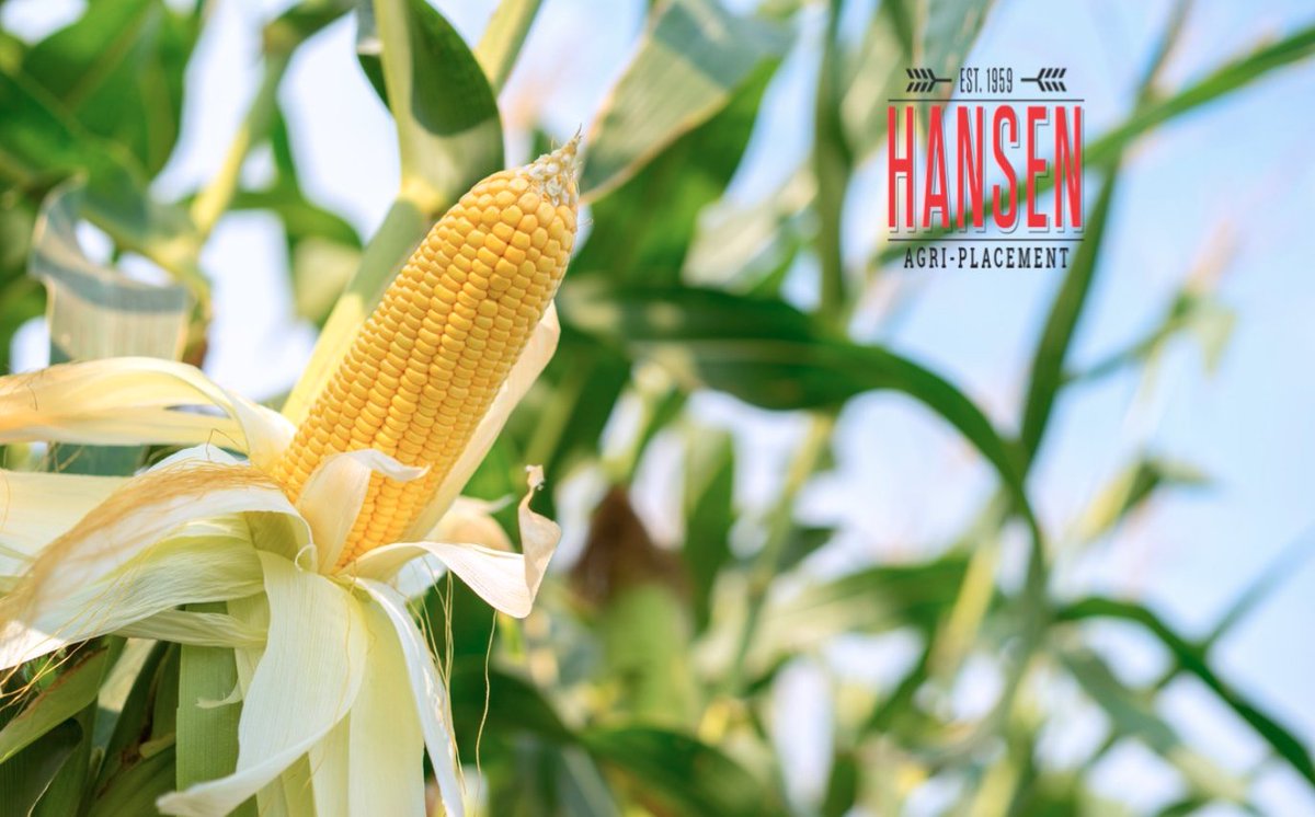 HansenAgriPLCMT's tweet photo. Farm Assistant (MZ-11278)
$50,000+ DOE
Colorado
#AgJobs #FarmAssistant #FarmEquipmentOperator
https://t.co/brI2hpysxm https://t.co/Ueef2TDYYH