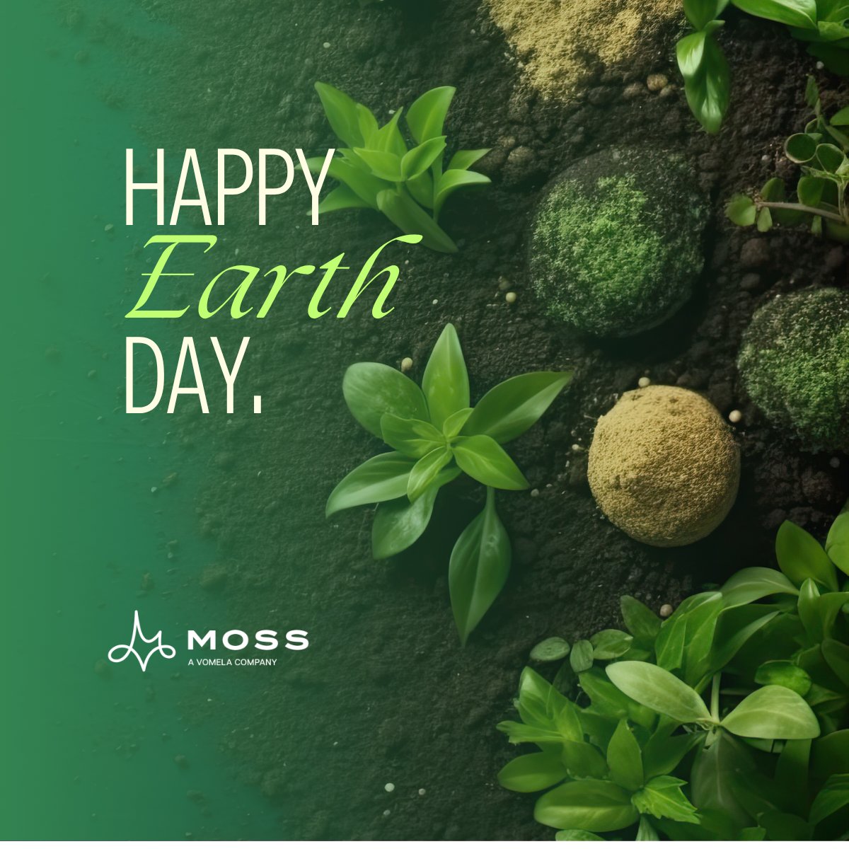 Moss UK tweet media