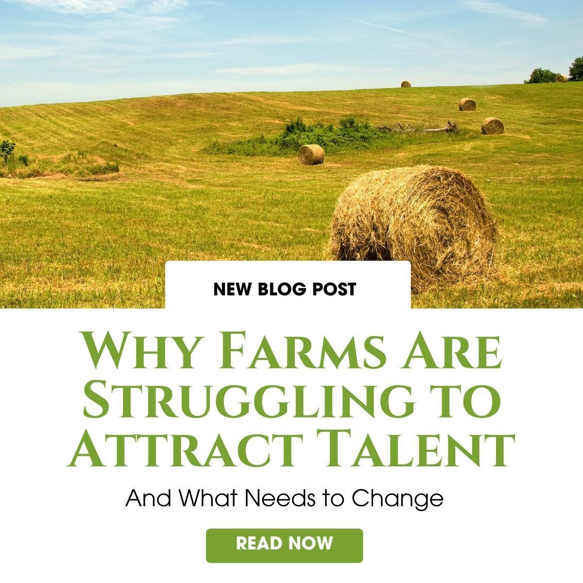 AgriRS's tweet image. UK farms aren't just struggling to find talent. They're struggling to be seen 👀

Read the full article: agrirs.co.uk/blog/2026/03/w…

#AgriRS #Jobs #Careers #Agriculture #FarmingJobs #AgriRecruitment