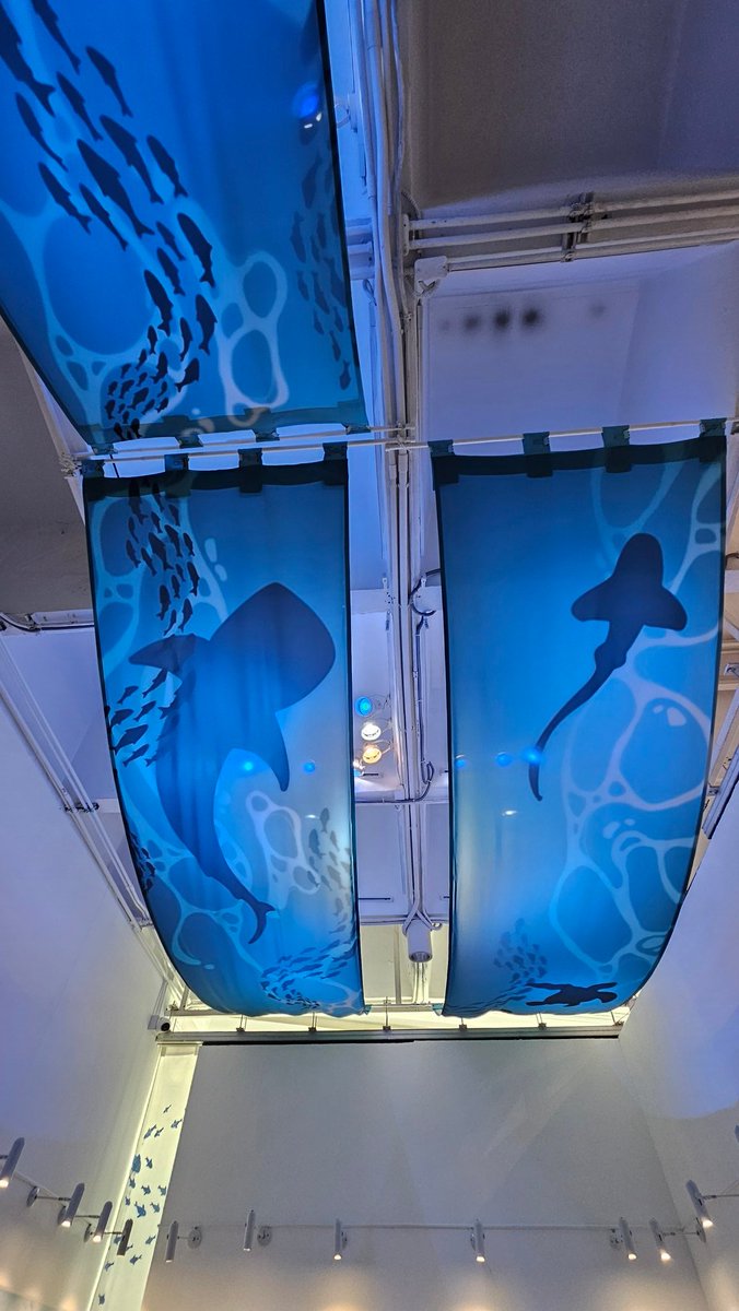 Pocket Pita.🌈 tweet media