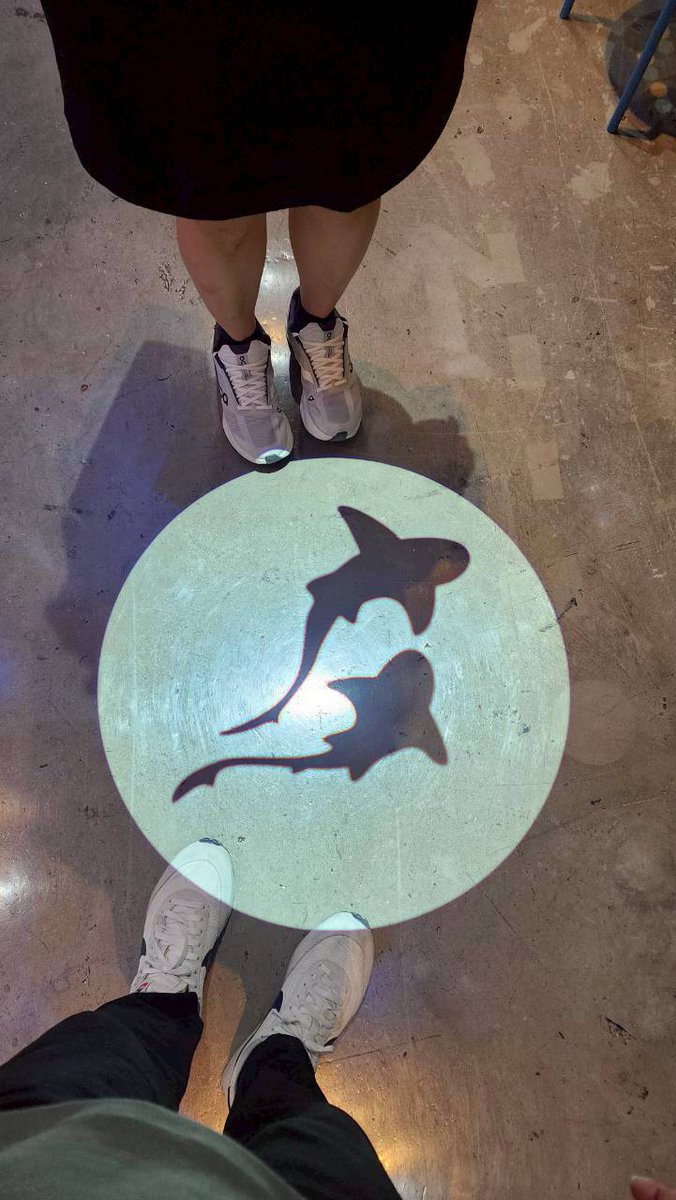 Pocket Pita.🌈 tweet media