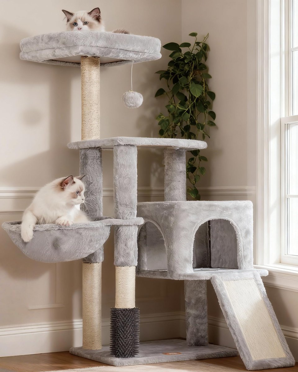 SepttenTTV's tweet photo. I just received a contribution towards Cat Tree with scratching posts from binary_viking via Throne. Thank you! https://t.co/BHWeSOw1kJ #Wishlist #throne https://t.co/sZ4N1cs7XM