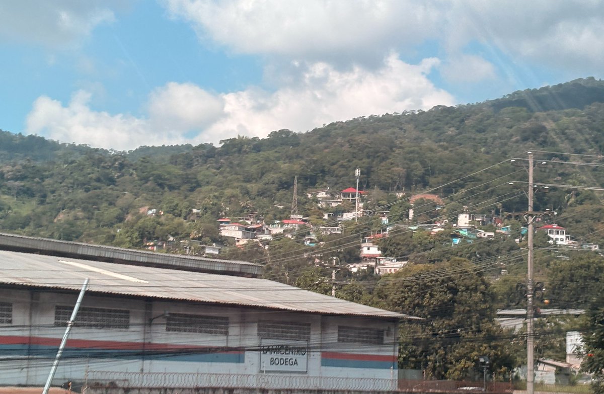 Lorenhn_ tweet media