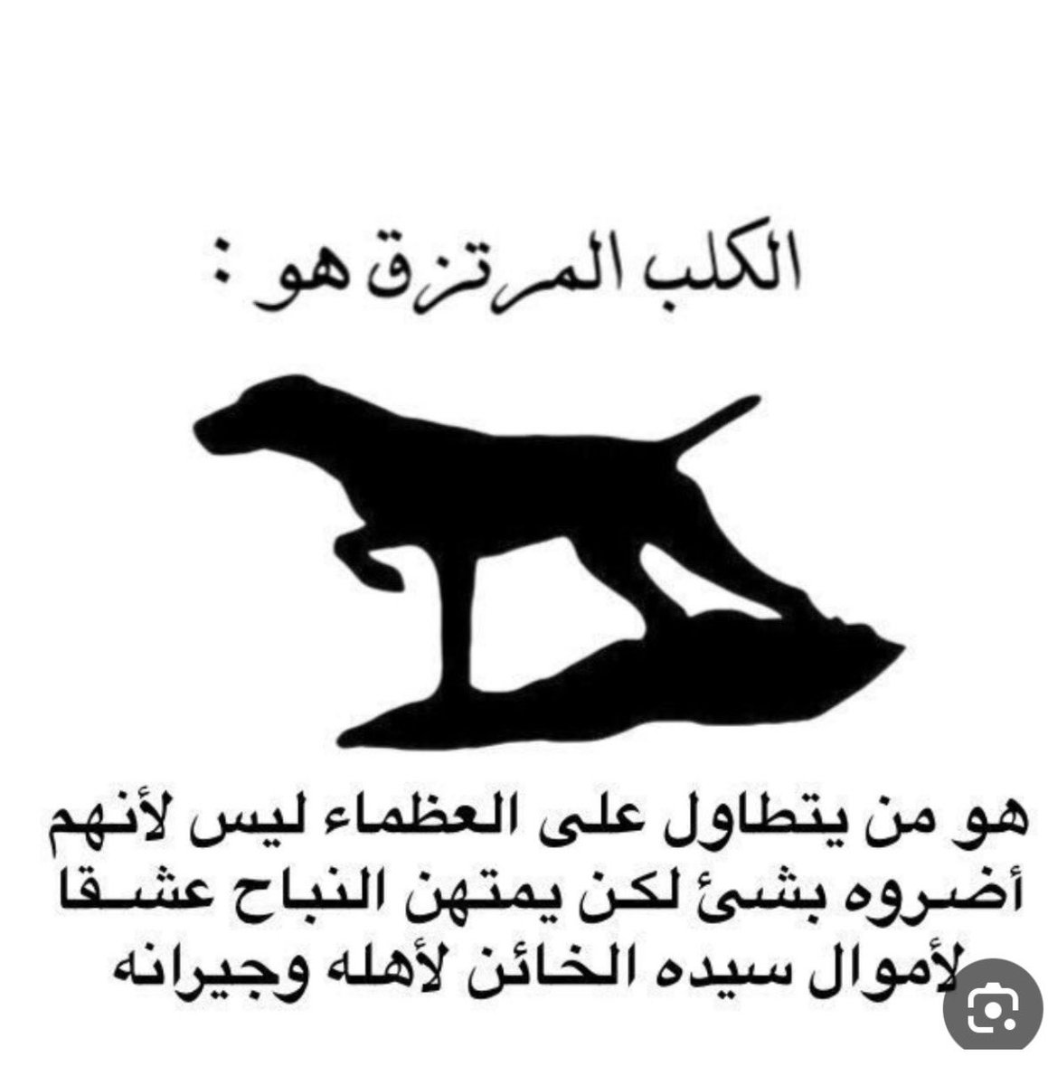 علي بن عبدالله tweet media