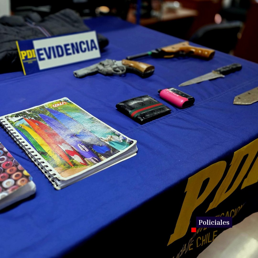 Diario Chañarcillo tweet media