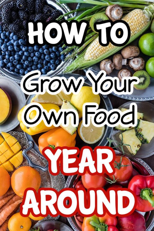 Dian_Farmer_'s tweet image. How To Grow Food Year Round From Your Own Family Food Garden

dianfarmer.com/how-to-grow-fo…
#pottedgarden #containergardening #zone #gardener