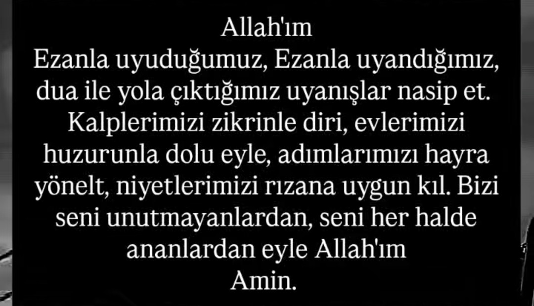 memet aydın tweet media