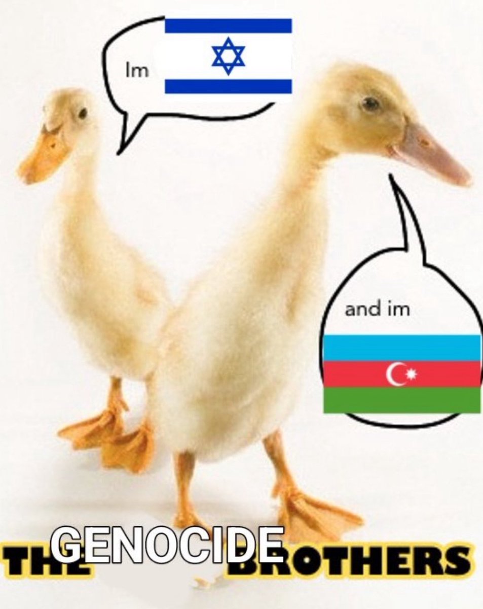 Omar El Fares 🇵🇸 عُمَر الفارس tweet media