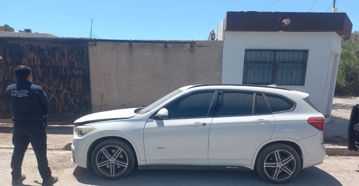 Ariel Leon tweet media