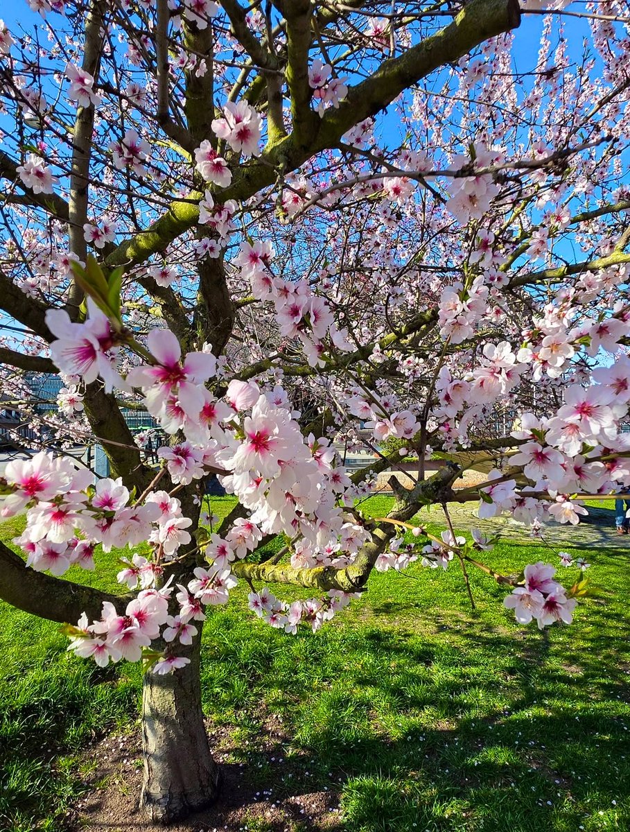 "Open your mind before your mouth." 
—Aristophanes✍🏻