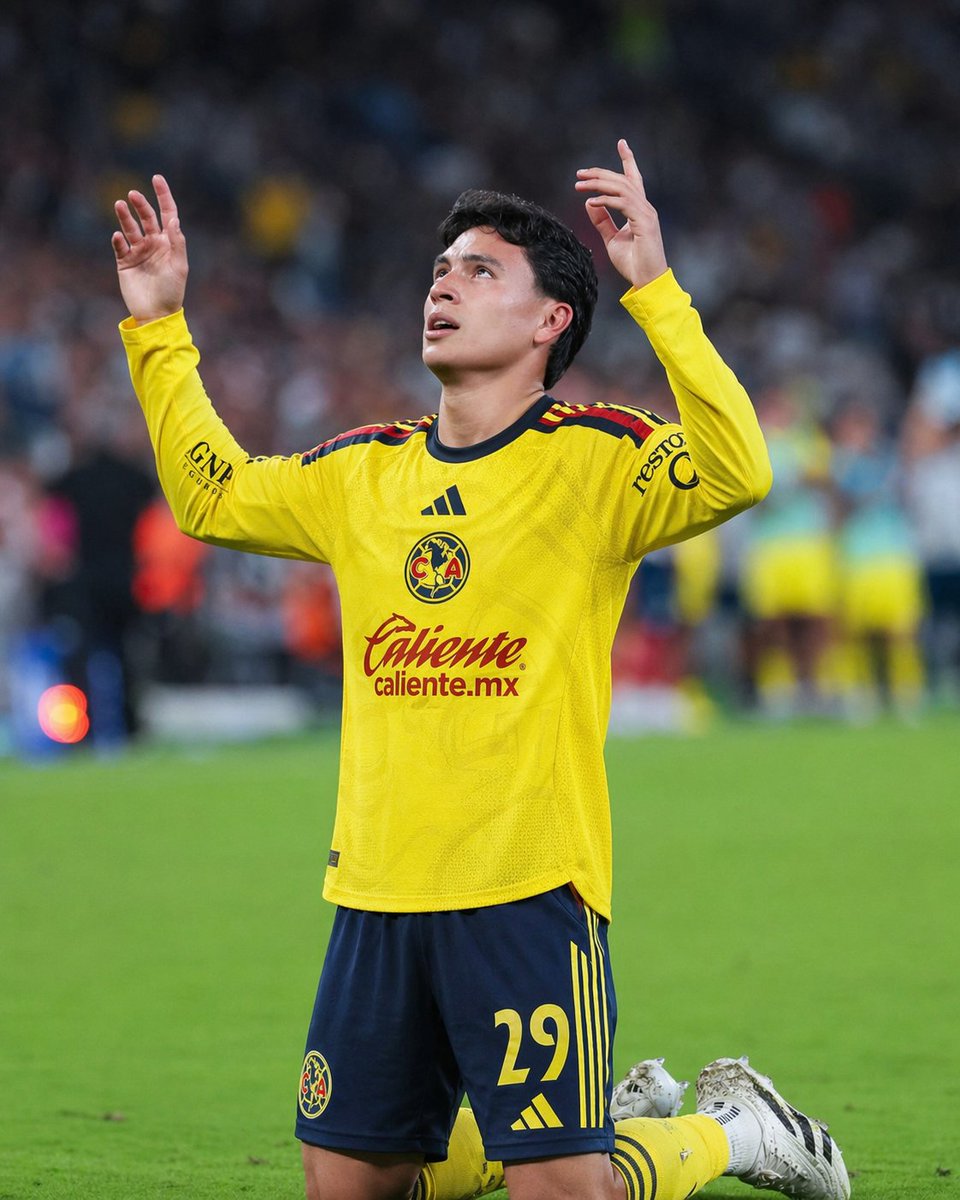 Águila brasileira🦅 tweet media