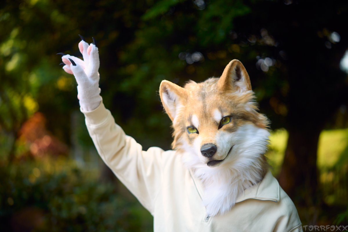 Selly GO Your Heart tweet media