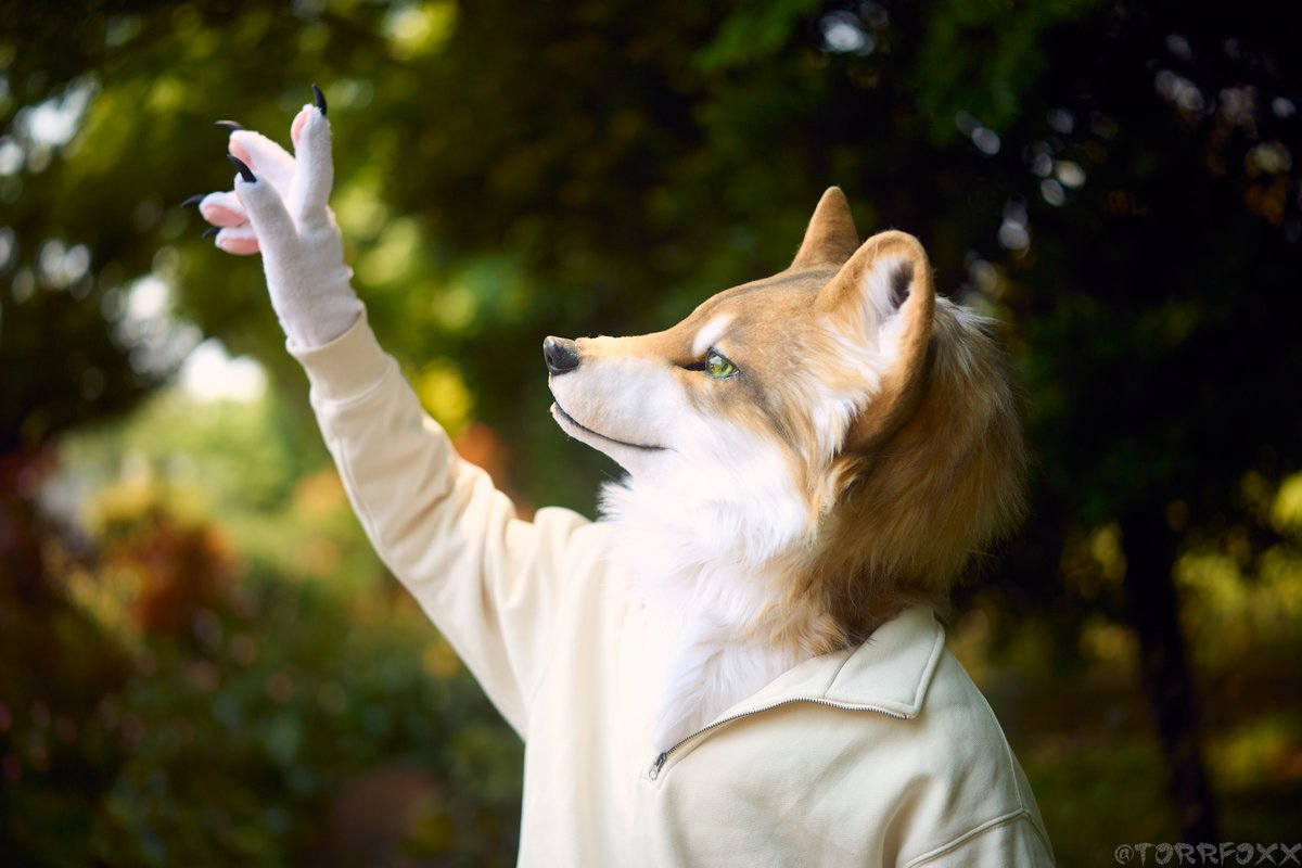 Selly GO Your Heart tweet media