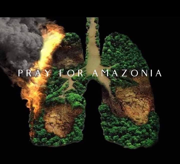 BillEaster10's tweet image. Happy #EarthDay2026 April 22

#ClimateChangeIsReal #ClimateCrisis #ThereIsNoPlanetB #ClimateActionNow #BeTheChange4Earth #ClimateEmergency