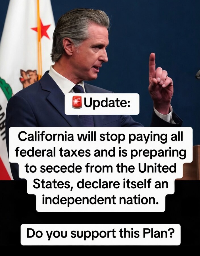 SABUZ VIEW tweet media