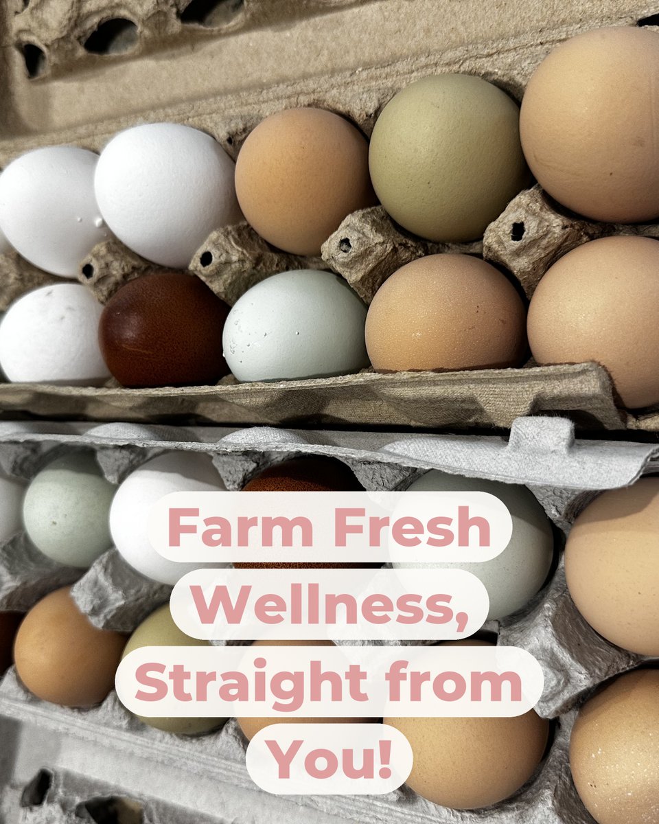 VEchiropractic's tweet image. Did you know that fresh, local eggs can be a nutritional powerhouse? We absolutely love receiving farm fresh eggs from our wonderful patients. Not only do they taste amazing, but they also provide essential...

#VanEvery #Chiropractic #NervousSystem #KST #TTC #TonalChiropractic