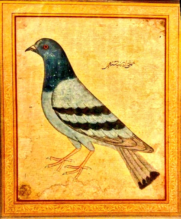 Indian Art tweet media