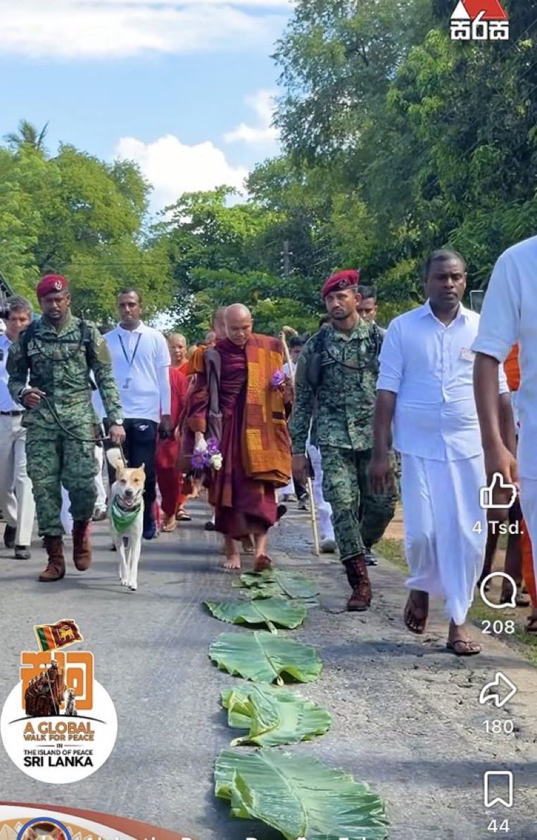 ampanai's tweet image. #LKA should self reflect and ask truthfully what really need for peace and prosperity… 

#Eelam 
#RightToSelfDetermination