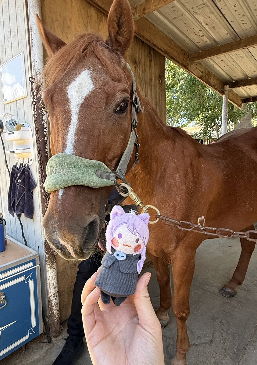 narumi.cos tweet media