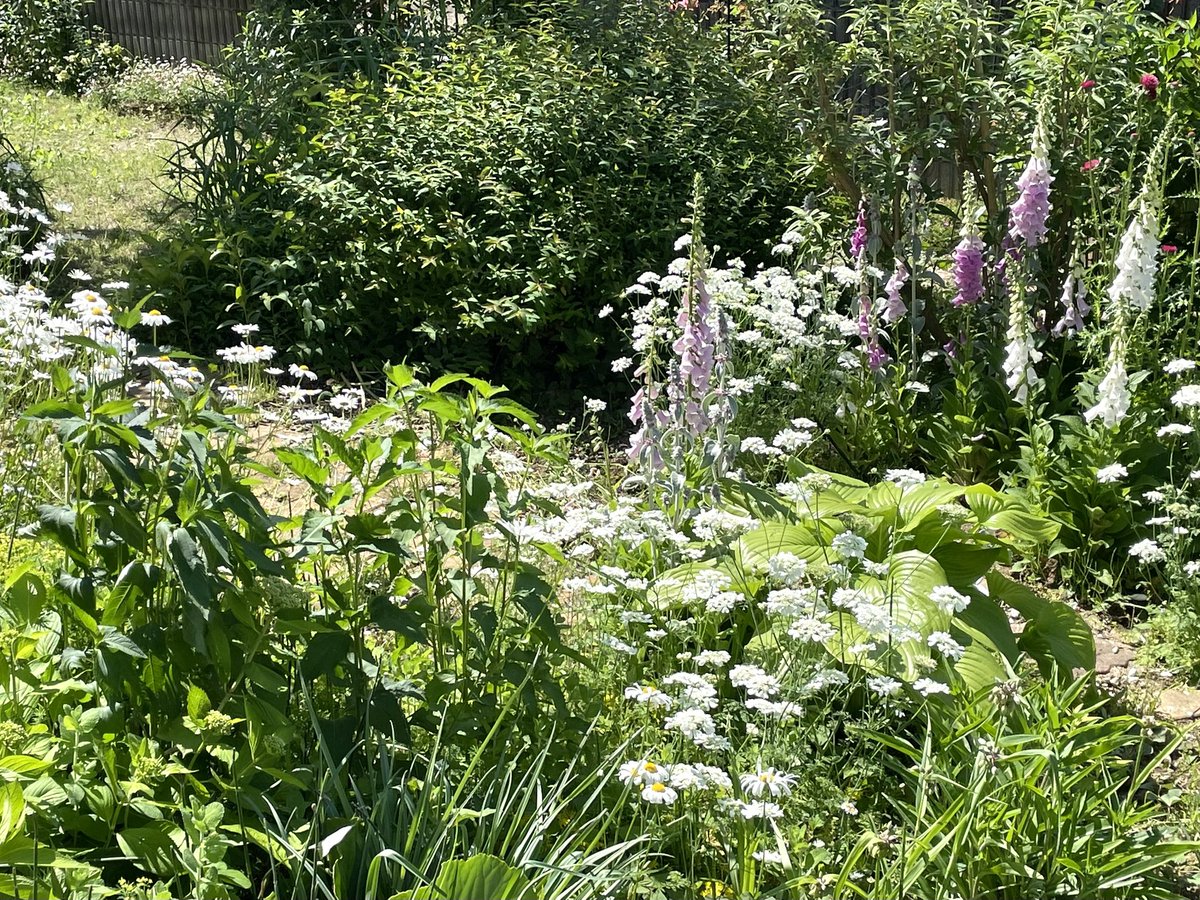 みかえる tweet media