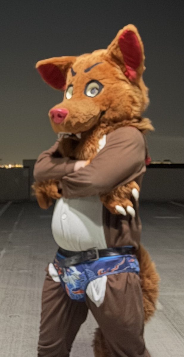 Crafty Coyote tweet media