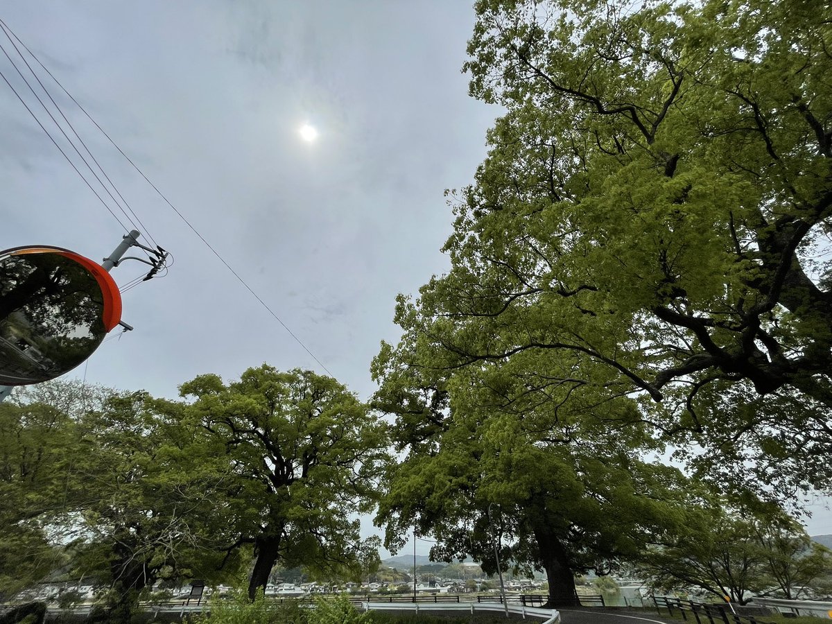 すぎもと tweet media