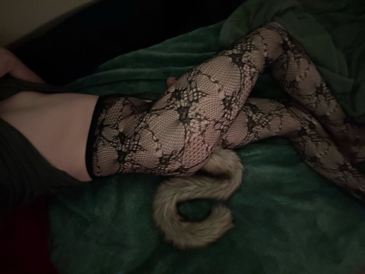 Soopylewd's tweet photo. I love having a tail~ #femboy https://t.co/1NmHClRASZ