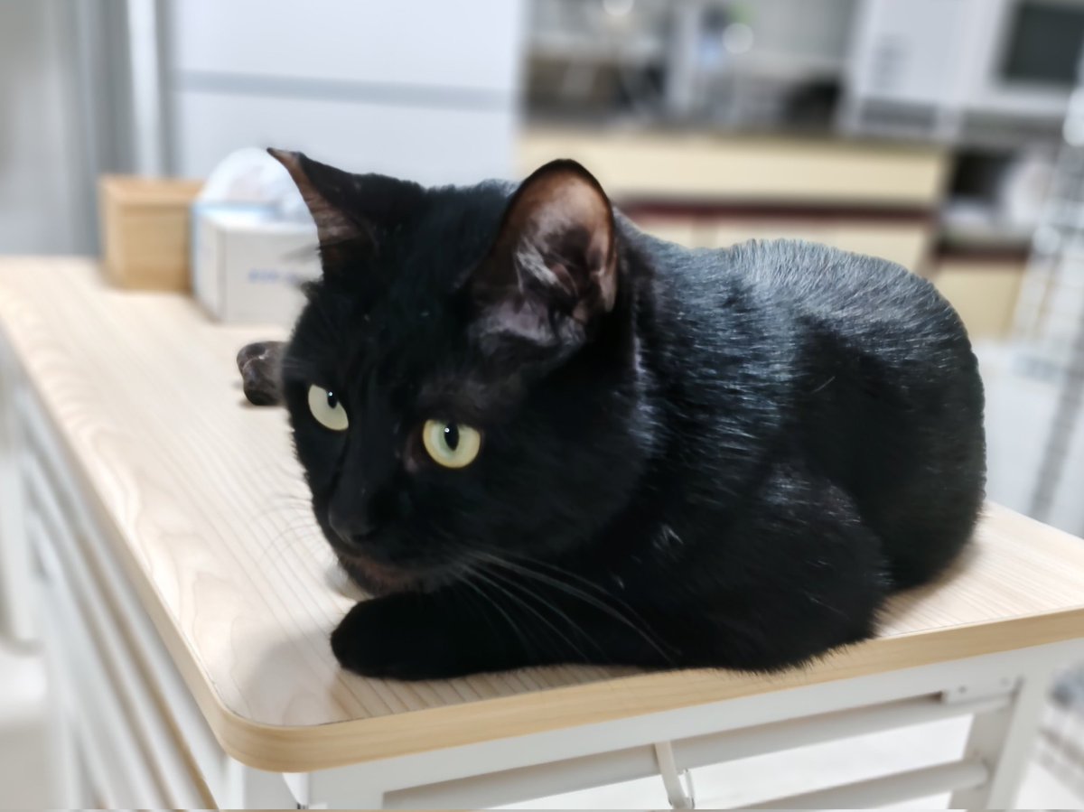 みるここ tweet media