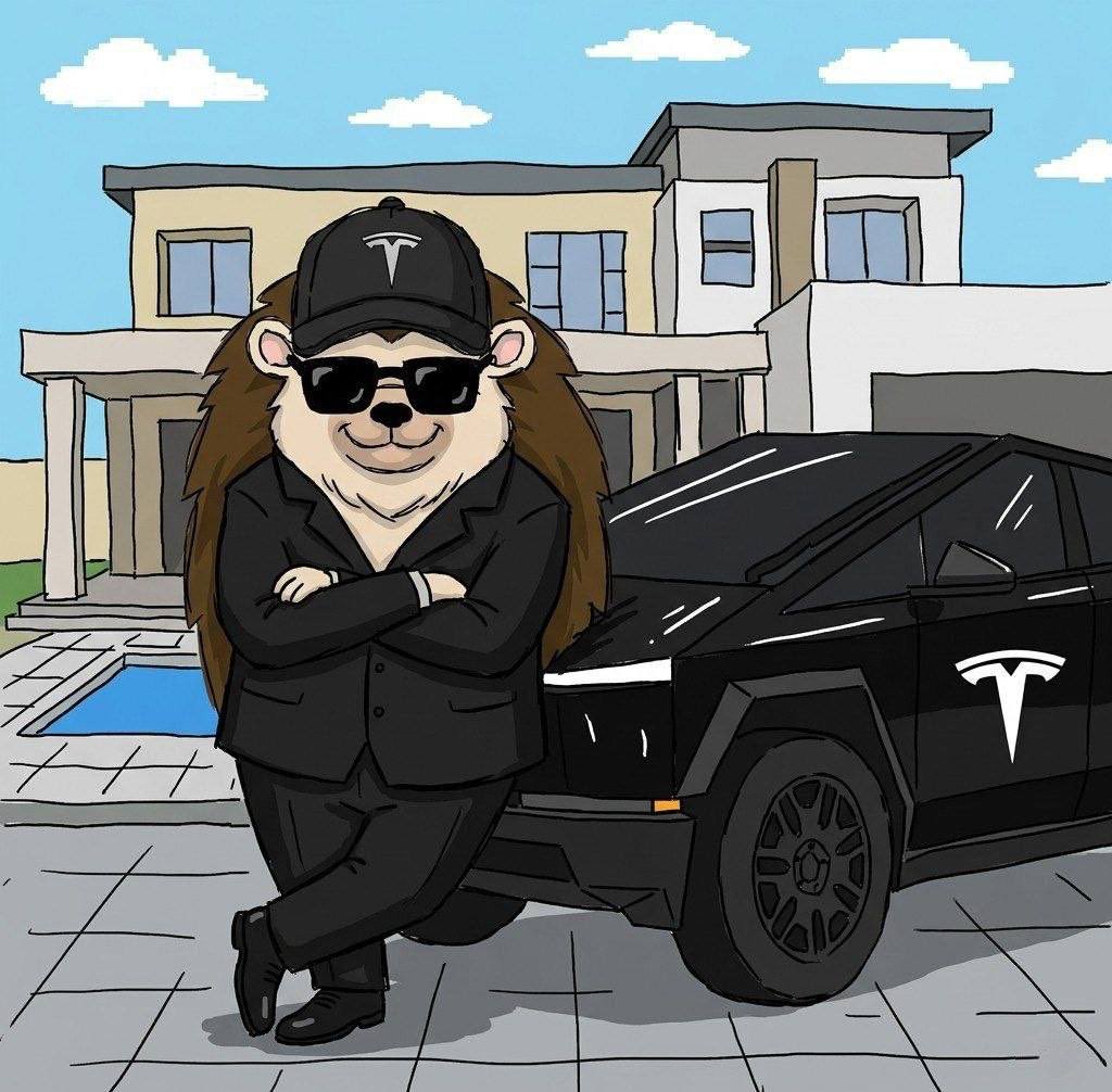 <a href="/soapweb3/">soap</a> RIZO

#hahayes 

Just watch what happens when Elon tweets him for the third time!