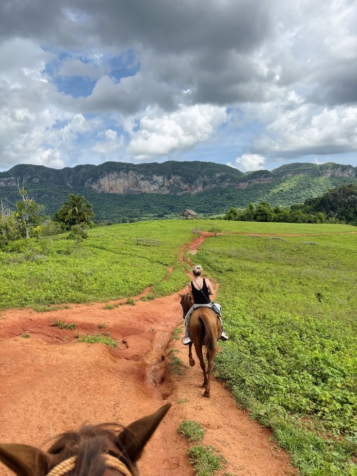 🌿🐴 ¿Quieres relajarte entre lo natural? ¡Un paseo a caballo en #Viñales te espera con aventuras increíbles y recuerdos inolvidables! 🌅✨

#CubaUnica #CubaTravel #infotur35años #TuPrimerPasoEnCuba