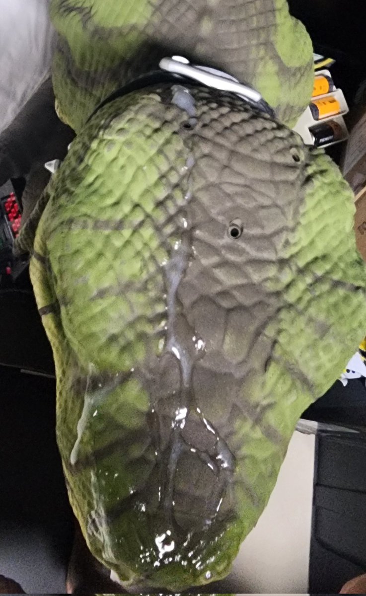 annonmatronic's tweet photo. What a good way to start this account rather with some Dino lube ~ https://t.co/2CjdWyJNHw
