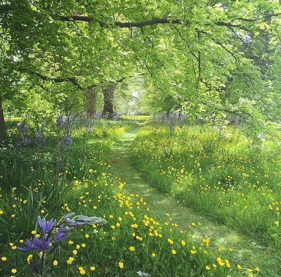 aestheticspost_'s tweet photo. Green paths https://t.co/nLdoucUnOB