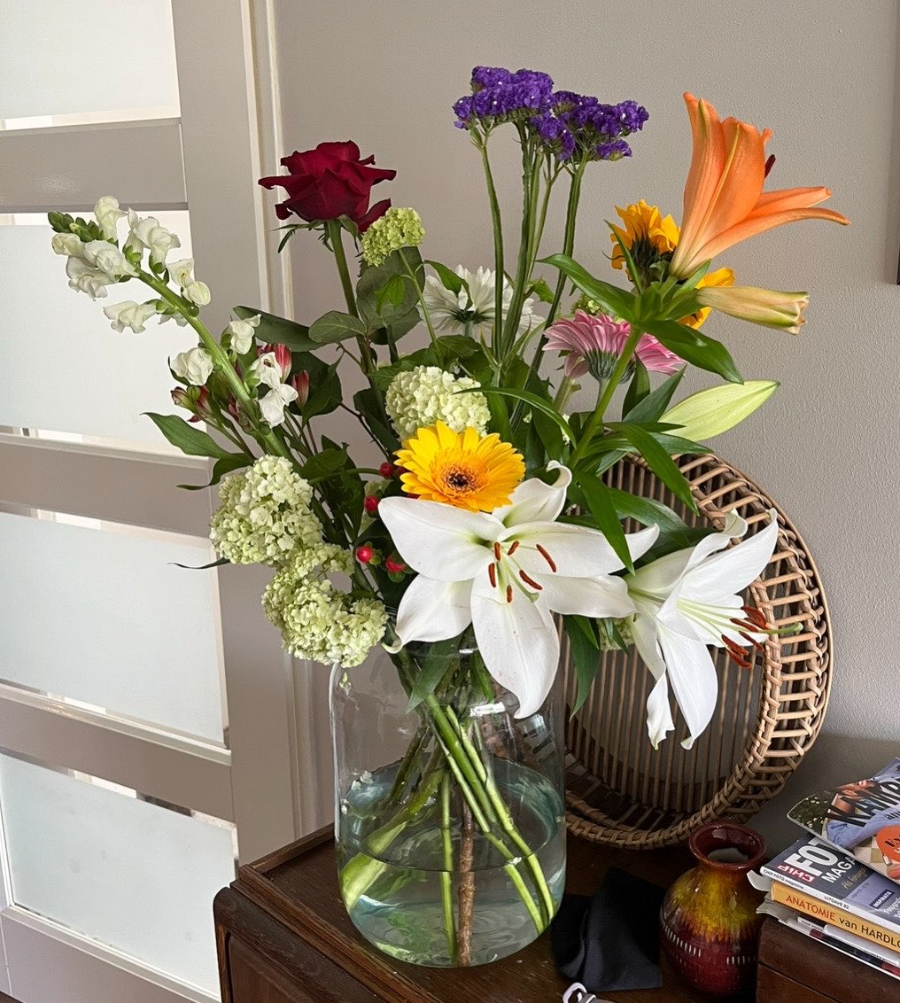 eclipsegvrl's tweet photo. thank you earth for your flowers https://t.co/sjBFpsKmNp