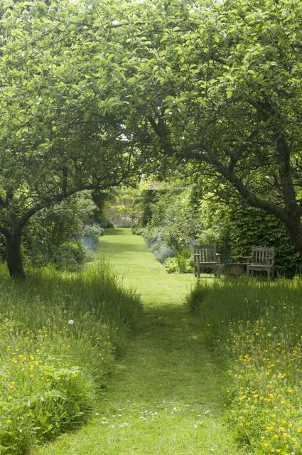 aestheticspost_'s tweet photo. Green paths https://t.co/nLdoucUnOB