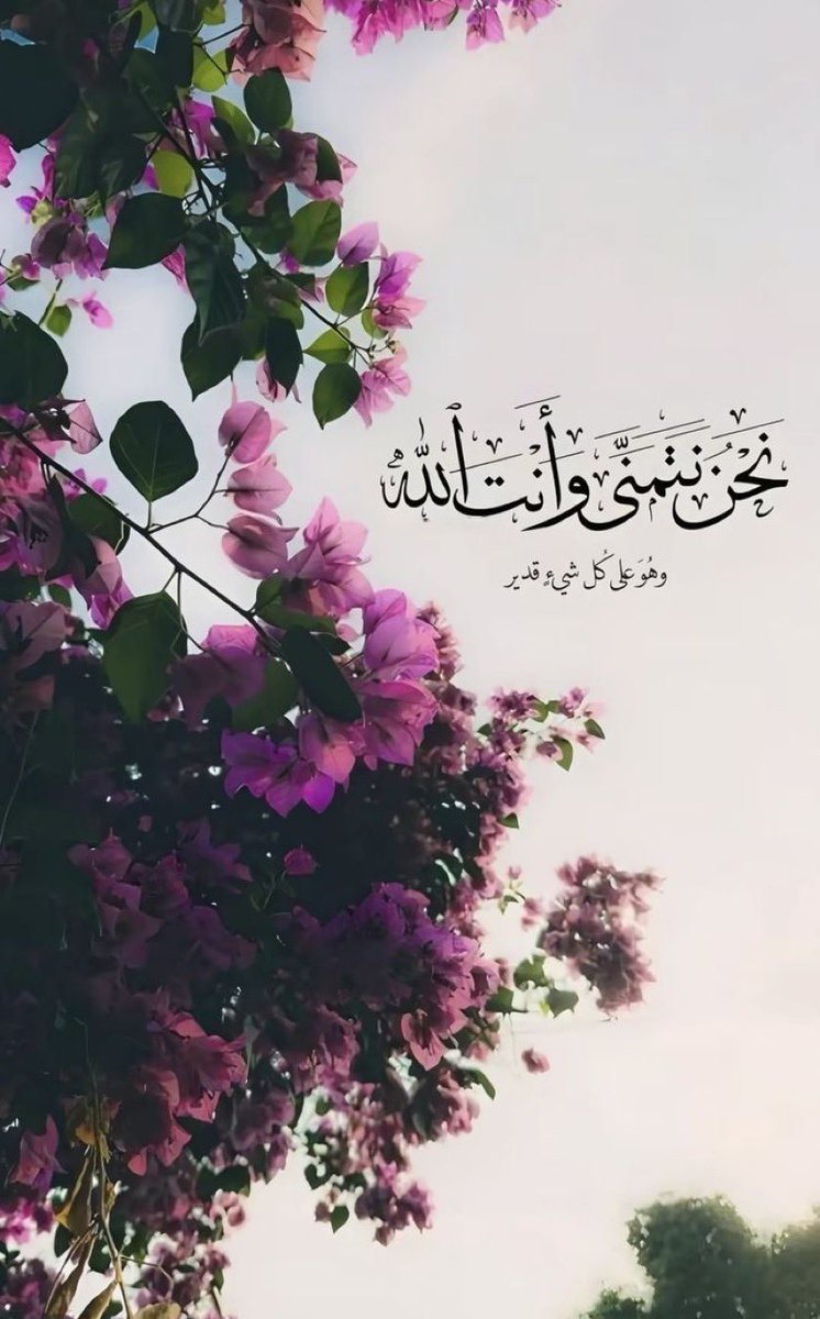 الريم❣️ tweet media