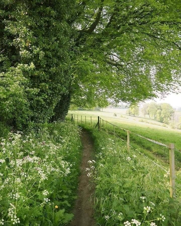 Green paths