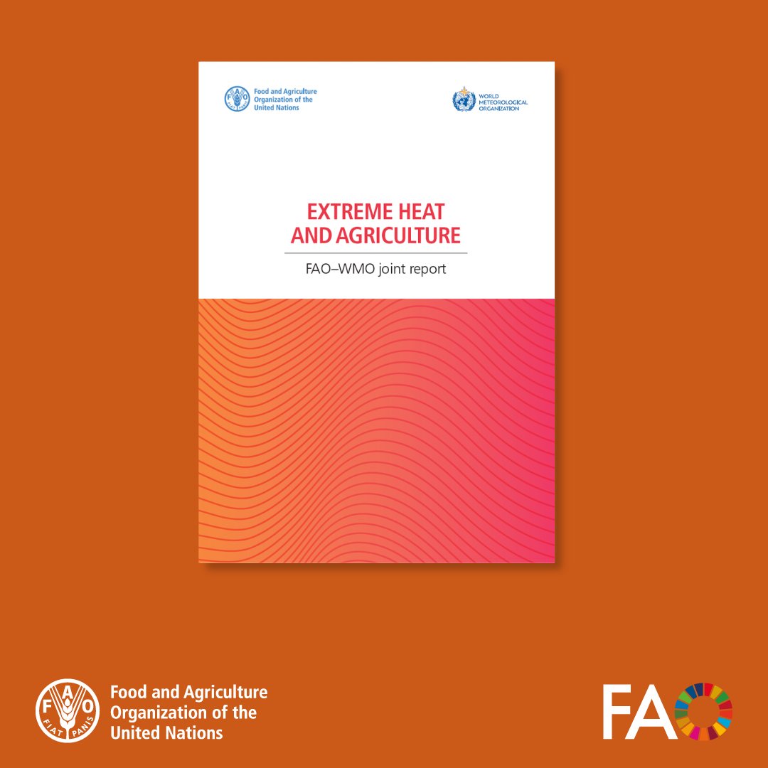 Food and Agriculture Organization tweet media