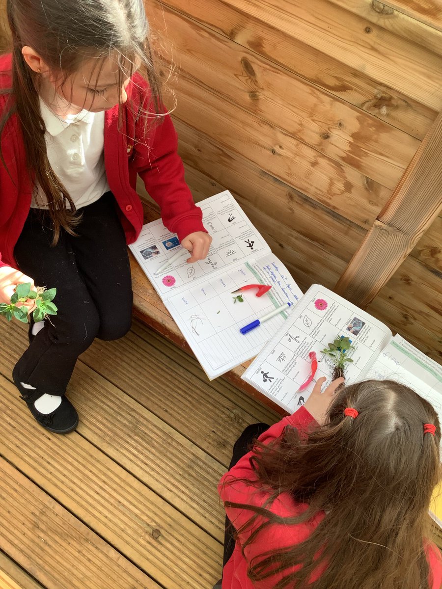 Y3HAS's tweet photo. Yesterday, we dissected a plant and explained each part’s function🌷 https://t.co/8fFQVAg9yi