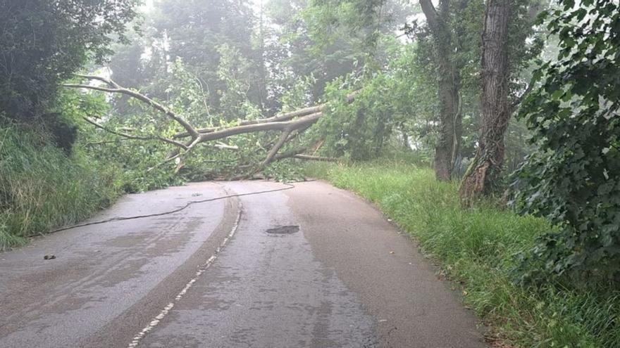 Pausismo tweet media