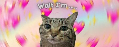 Tuffest dev on chain tweet media