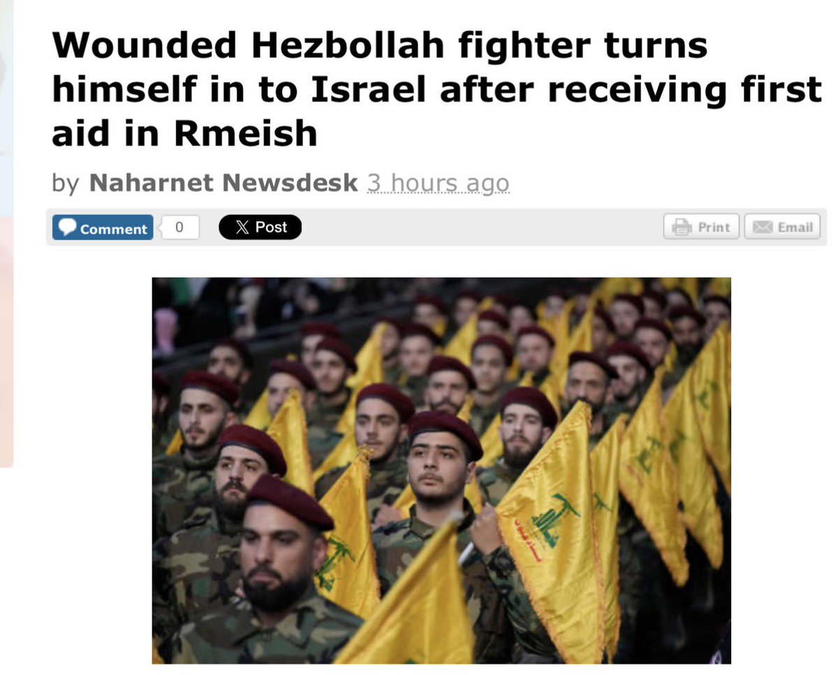 THE ISLANDER tweet media