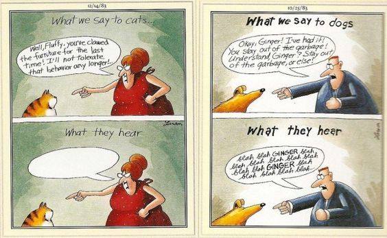 smithsk's tweet image. Difference between #cats and #dogs