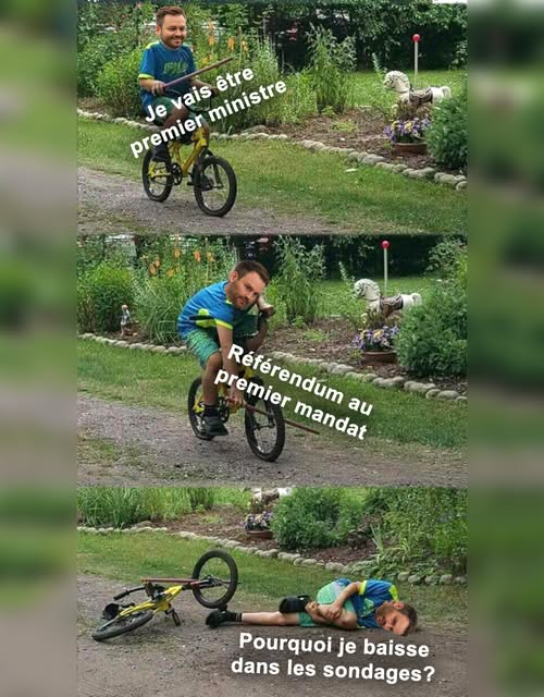 Dominatrix Vivi 🏴‍☠️ tweet media