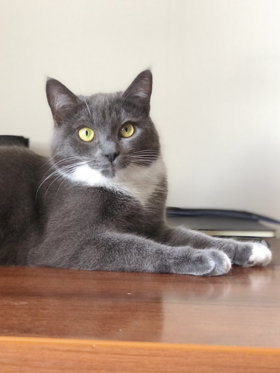 Приют Убежище tweet media