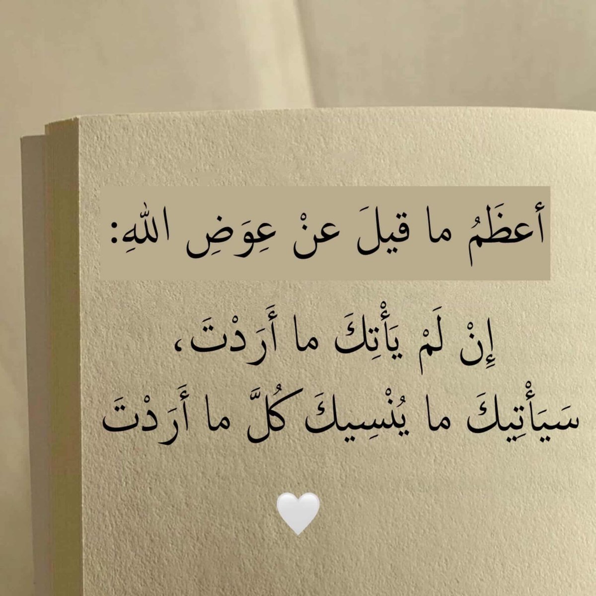 عبدالهادي قدح 🎠 tweet media