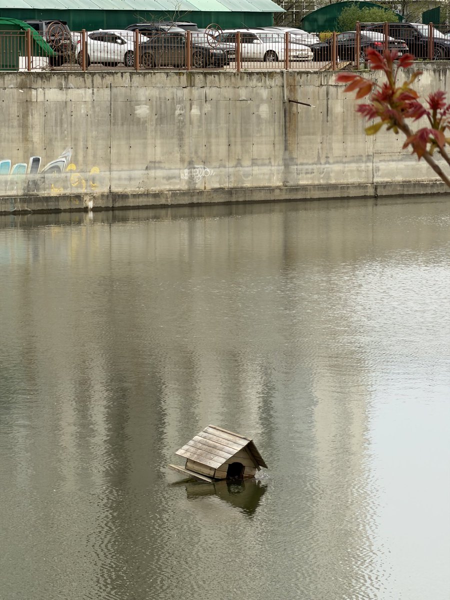 Заточка и точка. tweet media