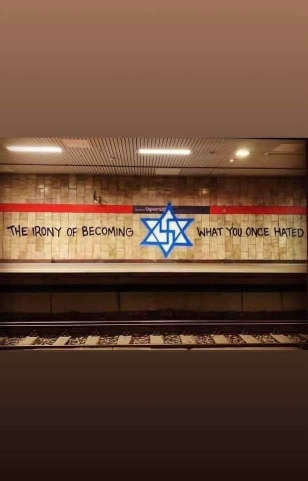 steve walker 🇮🇪 tweet media