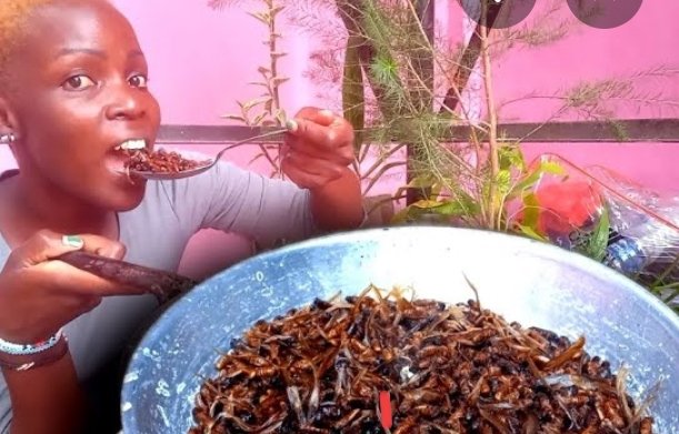 ODISHA FC tweet media